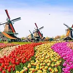 't Veldthuisje 4*
