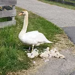 't Veldthuisje Guest house
