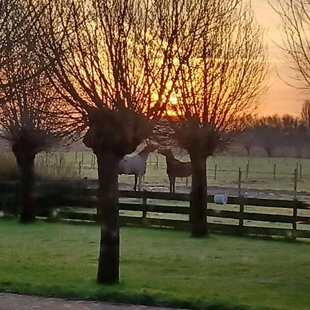 't Veldthuisje 4*