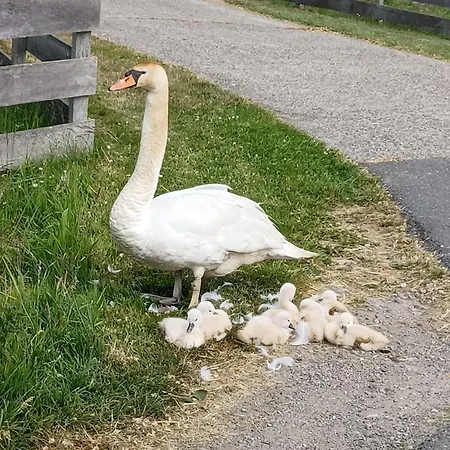 't Veldthuisje Frühstückspension