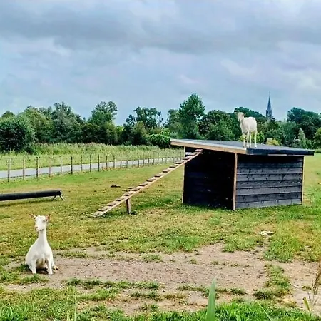 't Veldthuisje Penzion