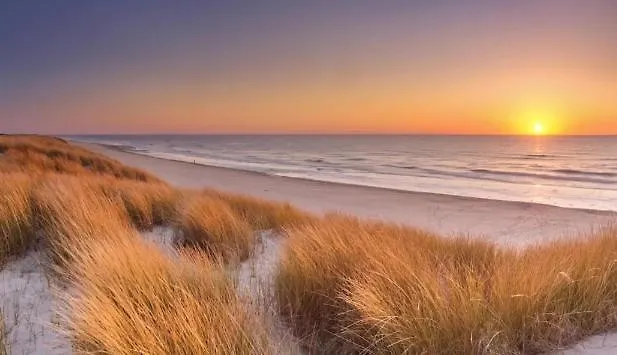 게스트하우스 't Veldthuisje 4*