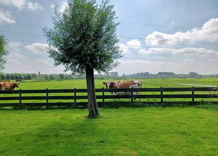 't Veldthuisje 게스트하우스 4*