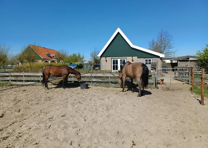 't Veldthuisje 4* Uitgeest