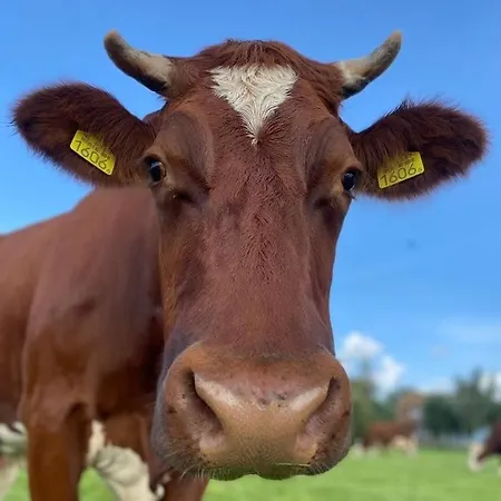 't Veldthuisje Gasthuis