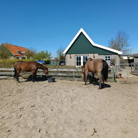 't Veldthuisje 4* Uitgeest